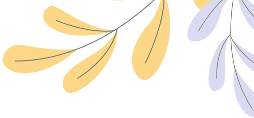 The best Gadget Collection