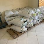 Green grams for sale in Mombasa at 130 per kg